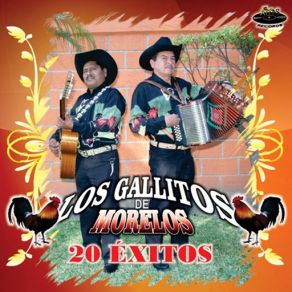 Download track Ya No Le Llores Los Gallitos De Morelos