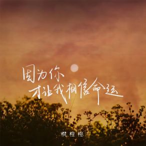 Download track 因为你才让我相信命运 桐橙橙