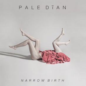 Download track In A Day Pale Dian