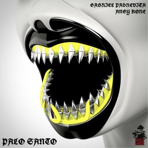 Download track Palo Santo (Original Mix) Angy Kore