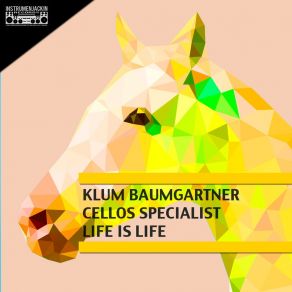 Download track Life Is Life (Dub Edit DJ Tool) Klum Baumgartner