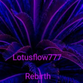 Download track The Fight Lotusflow777