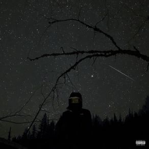 Download track Lost In The Stars Lil Pari