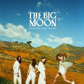 Download track Don't Think The Big Moon