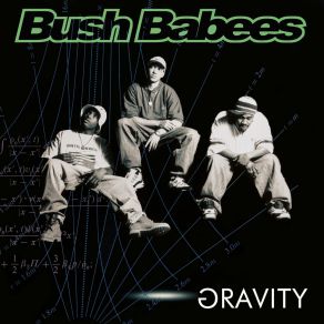 Download track The Ninth Presentation Bush Babees