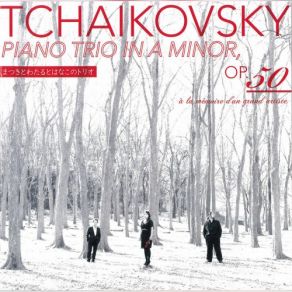 Download track Piano Trio In A Minor, Op. 50, TH 117 IIa. Tema Con Variazioni. Tema. Andante Con Moto Matsumoto Kazumasa, Hanako Uesato