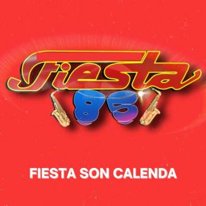 Download track Palito De Guayacán / La Burrita / La Negra Candelosa Fiesta 85