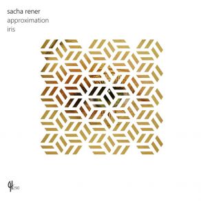 Download track Approximation Sacha Rener