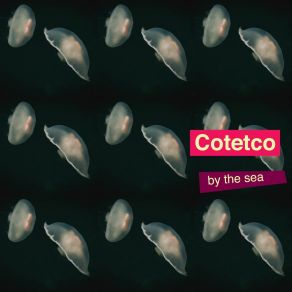 Download track Step Aside Cotetco