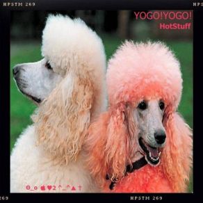 Download track † Yogo! Yogo!