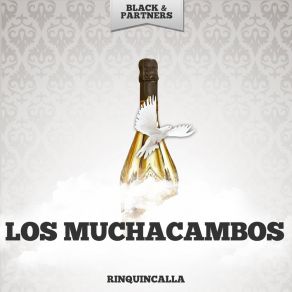 Download track El Huazo Los Muchacambos