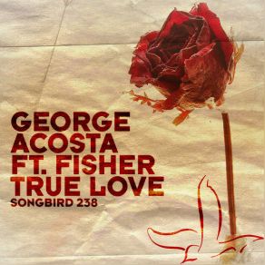 Download track True Love (Daniel Wanrooy & Mark Green Remix) George AcostaDaniel Wanrooy
