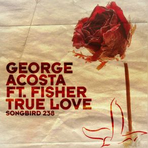 Download track True Love (DJ Funkadelic & Beauriche Remix) George Acosta