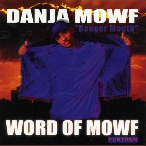 Download track Vowel Movement Danja MowfThe SupaFriendz