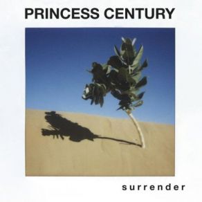 Download track Stupid Things Princess CenturyFragrance