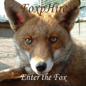 Download track Blood Runs Dry FoxpHire