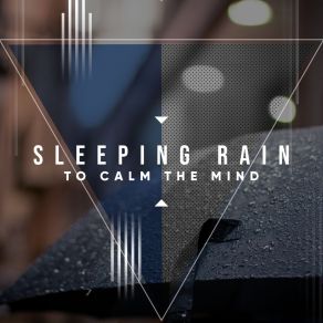 Download track Winter Rain Lush Rain Creators