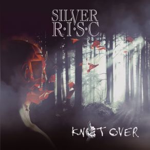 Download track BAD PERSON Silver R. I. S. C