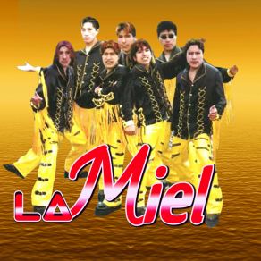 Download track La Miel No Renunciaré Grupo La Miel Internacional