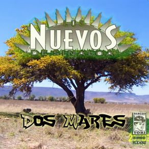 Download track Dos Mares Los Nuevos De Sinaloa