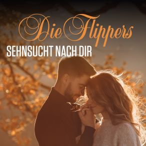 Download track Frag Den Abendwind Die Flippers