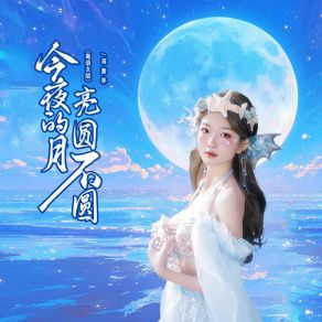 Download track 今夜的月亮圆不圆 (Djbanan粤语女版伴奏) 蒋蕙林Banan