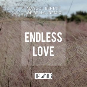 Download track Endless Love (Rob Bello Remix) Maycol BenettRob Bello