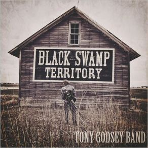 Download track Little Bit Tony Godsey Band