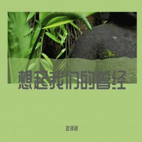 Download track 想起我们的曾经 武泽铭