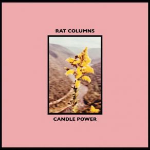 Download track You Don't Have To Try Rat Columns