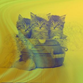 Download track Trio Jazz Soundtrack For Cozy Kittens Music For Cats Peace