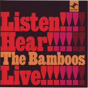 Download track Bring It Home The Bamboos, Kylie Auldist