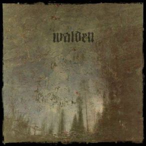 Download track Sonne Erhellt Das Nebelmeer Walden