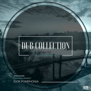 Download track Ephemeral (Dub) Igor Pumphonia