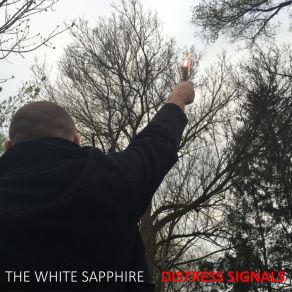 Download track One Of These Days The White Sapphire