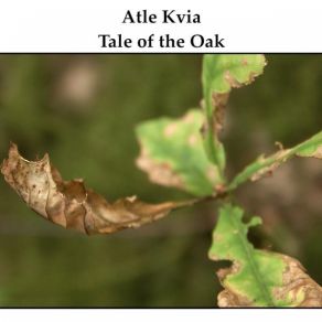 Download track Wistful Beings Of Sylvan Atle Kvia