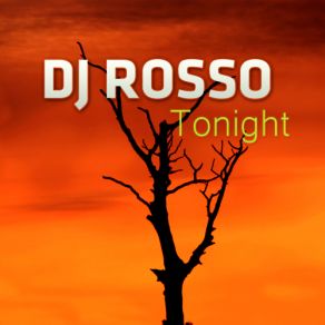 Download track Tonight (Egostuff Radio Edit) DJ Rosso