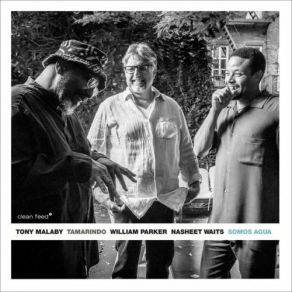 Download track Can't Find You... Tony Malaby Tamarindo