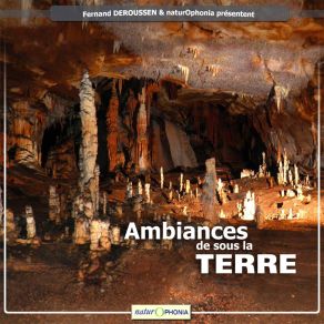 Download track Voile De Pierre Fernand Deroussen