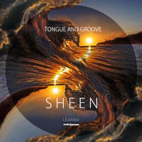 Download track Sheen (Original Mix) Tongue And Groove