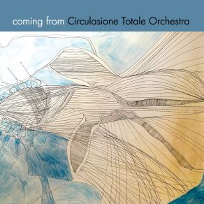 Download track Come From Circulasione Totale Orchestra