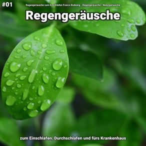 Download track Regengeräusche, Pt. 70 Naturgeräusche