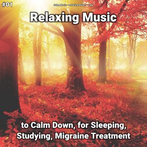 Download track Relaxing Music, Pt. 52 Yoga