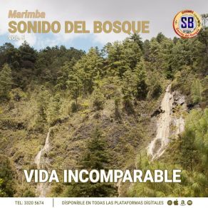 Download track Recuerdo Tus Sueños, No Llores Marimba Sonido Del Bosque