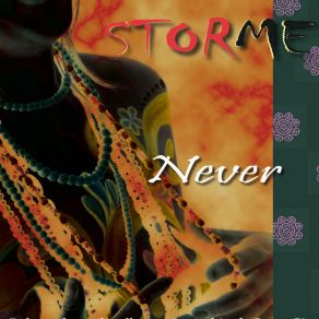 Download track Never (Acoustic) Storme