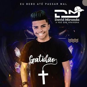 Download track Eu Bebo Até Passar Mal David Miranda