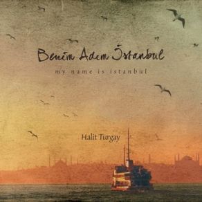 Download track Toprak Halit Turgay