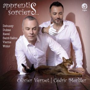 Download track Organ Symphony No. 3 In C Minor, Op. 78: I. Poco Adagio (Transc. For 2 Pianos By Camille Saint-Saëns) [Arr. For Organ] Olivier Vernet, Cédric Meckler