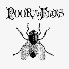 Download track Gravity Poor As Flies