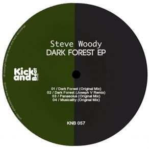 Download track Dark Forest (Joseph V Remix) Steve Woody